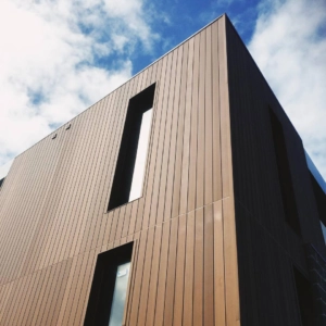 Deska elewacyjna FS 15 Teak 150*27.5*3600